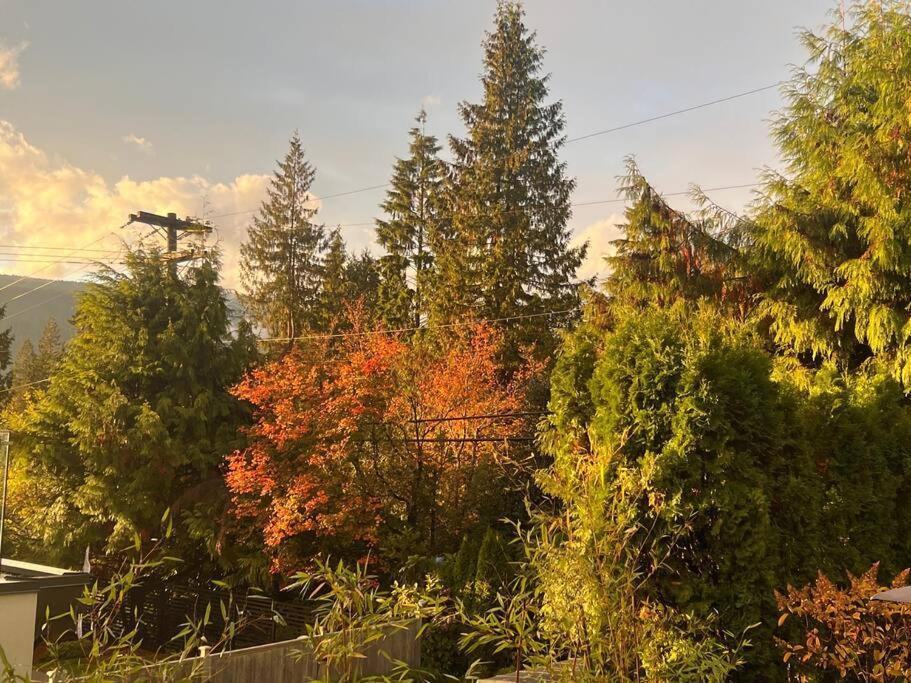 'Canyon Heights' Retreat North Vancouver Luaran gambar